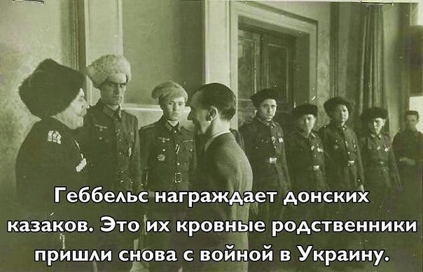 казаки.jpg