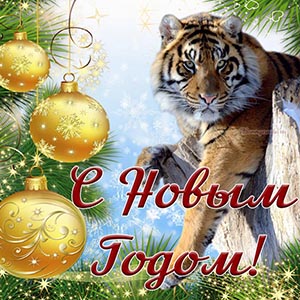 s_newyear0138.jpg