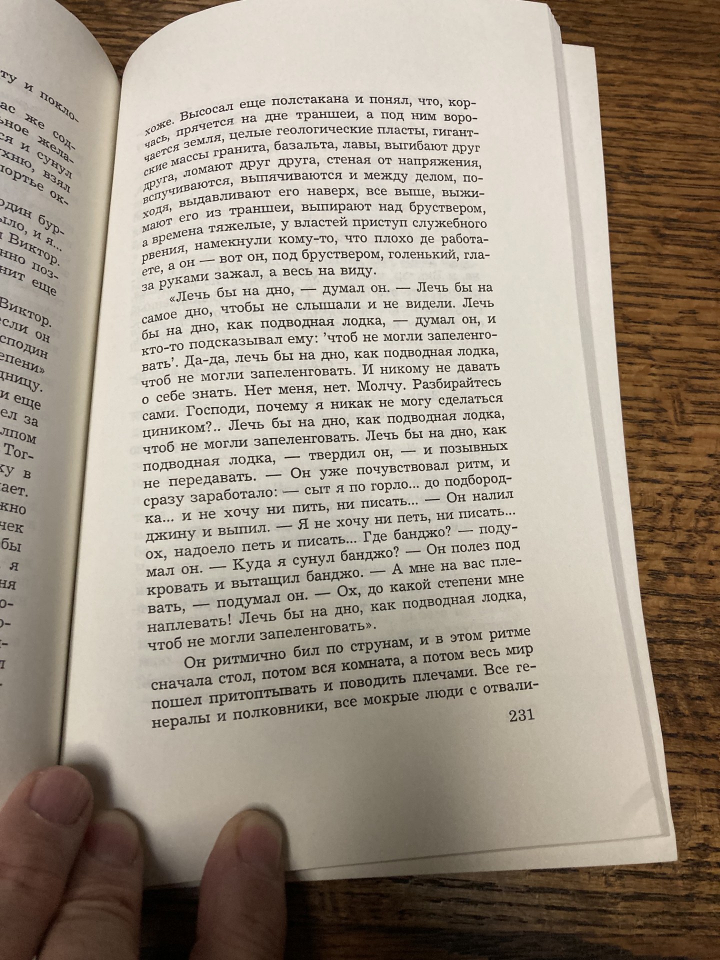 231.jpg