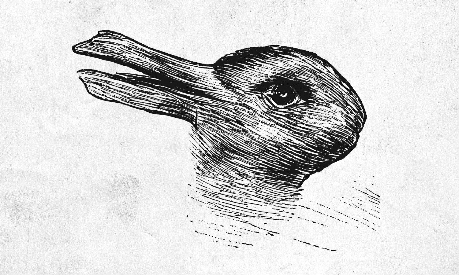 duck_rabbit.jpg