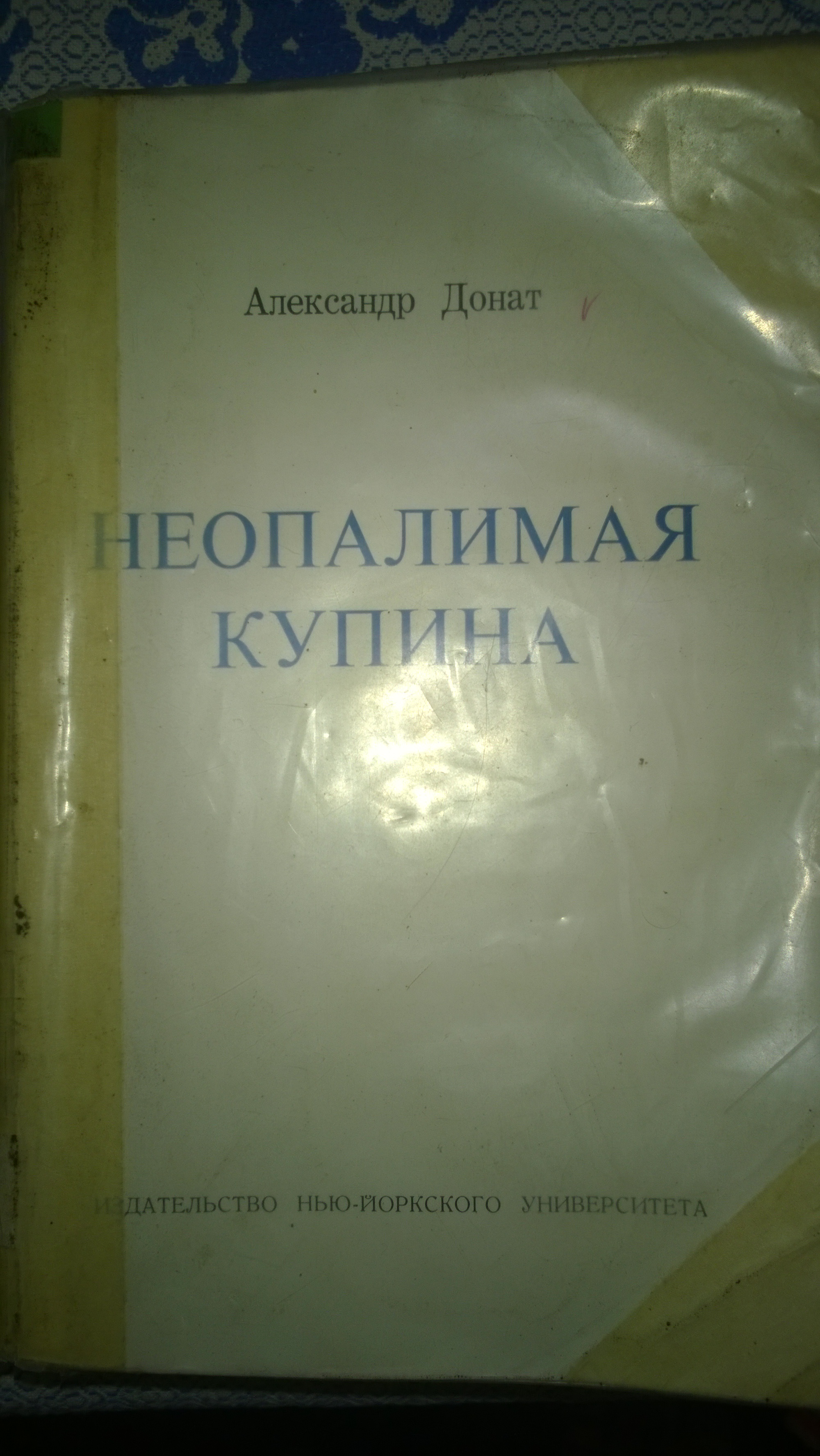 WP_20160210_114.jpg