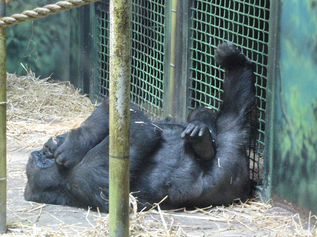 2009_08_13_050.jpg
