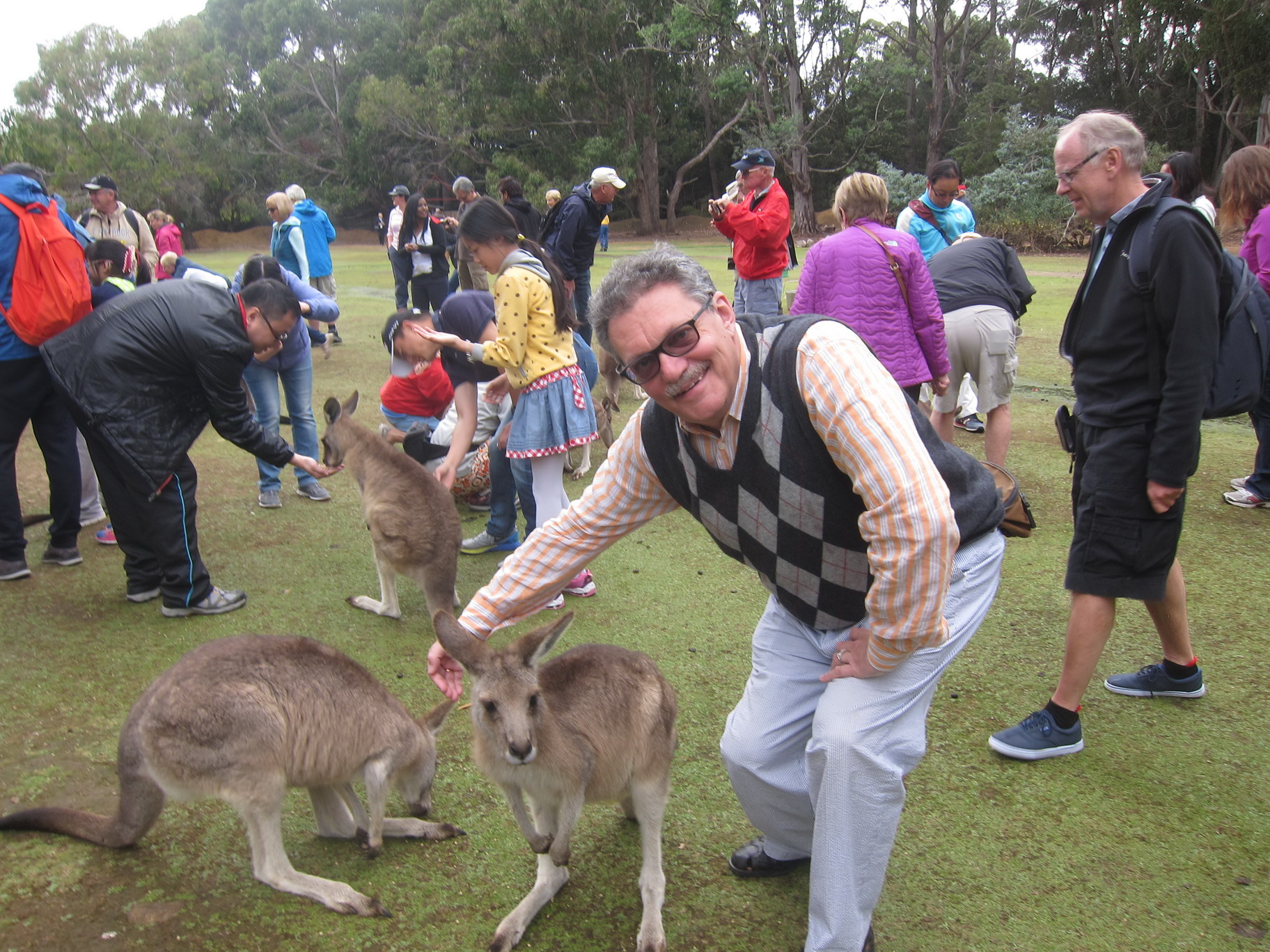 2017_01_02_New_Zealand_Australia_Part_2_258.jpg