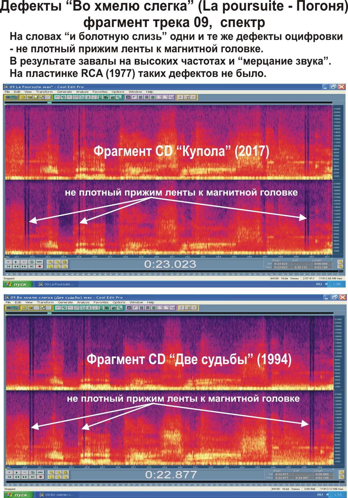 3_И_болотную_слизь__Купола_Две_судьбы_.jpg