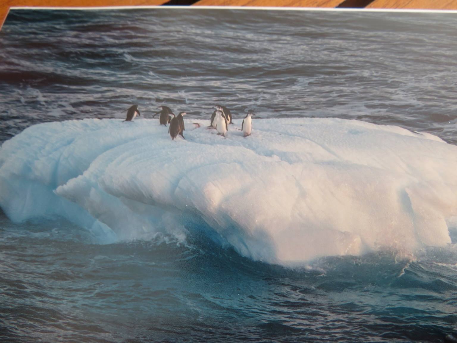 2019_01_Antarctica_11.jpg
