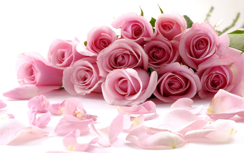 0_9611f_9b0456c9_XL.jpg