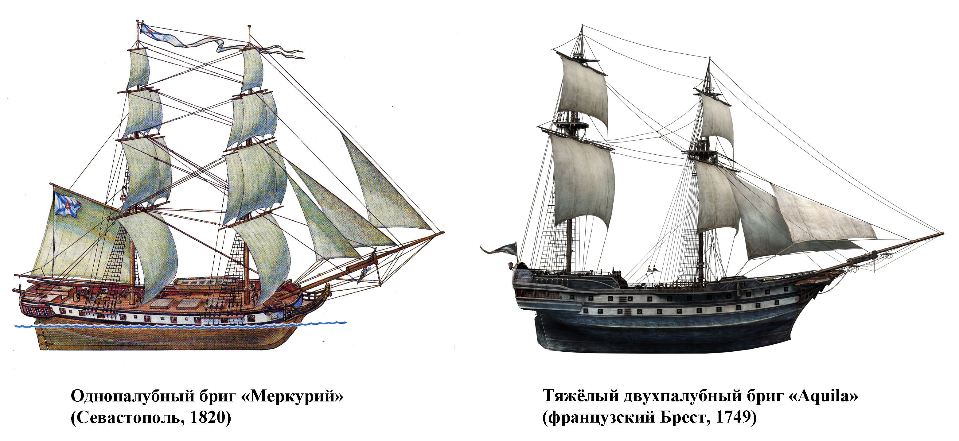 Fig3.jpg