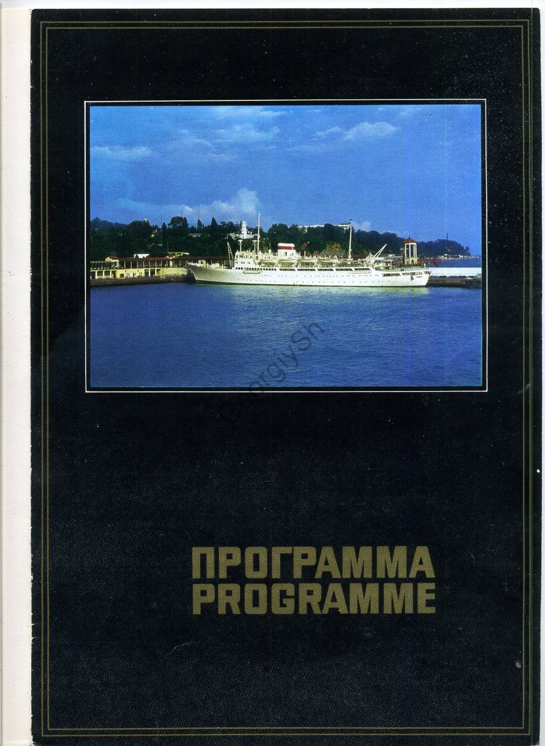 68701527.jpg