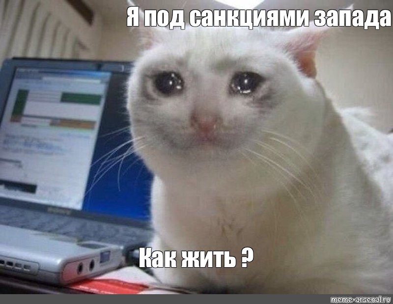 Кошачьи_санкции.jpg
