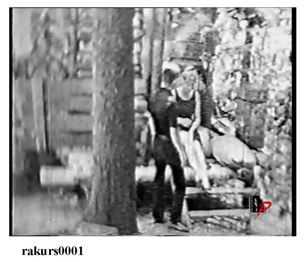 rakurs0001.jpg