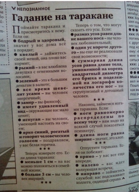 12608160_R3L8T8D_450_unnamed.png