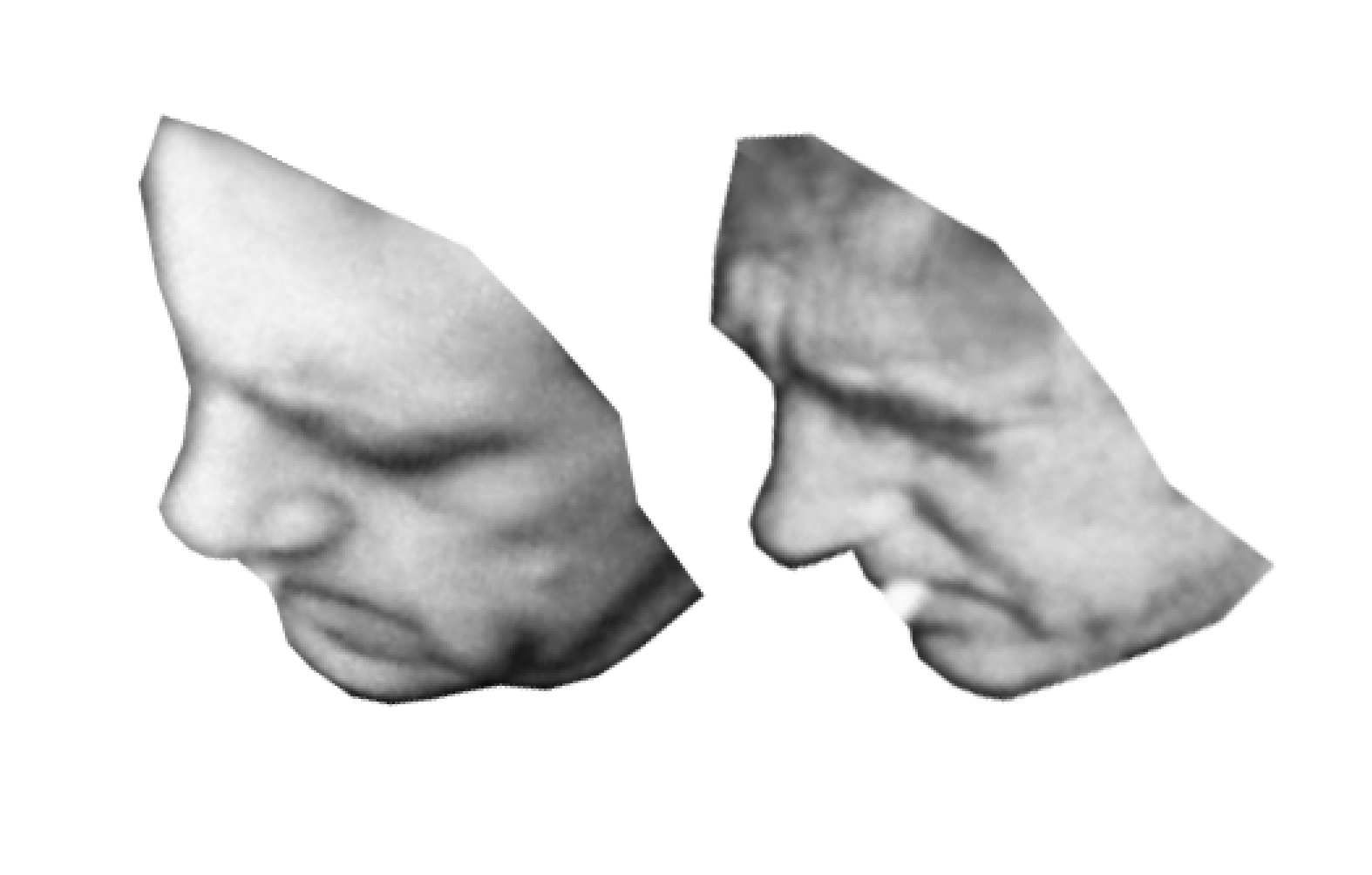лица.png