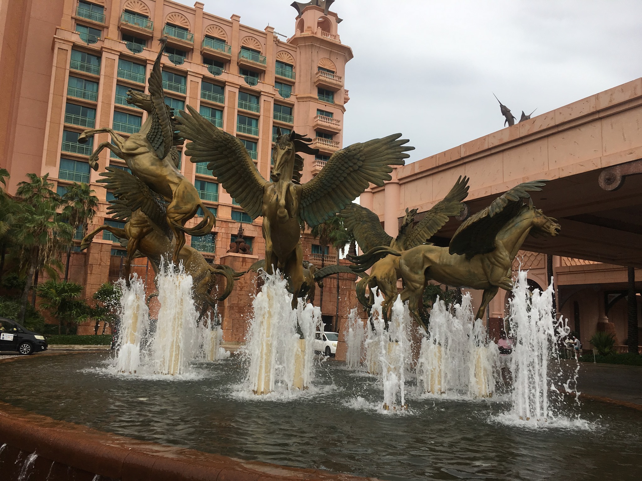 2019_06_Cruise_12.jpg