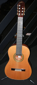 Seven_string_guitar.jpg