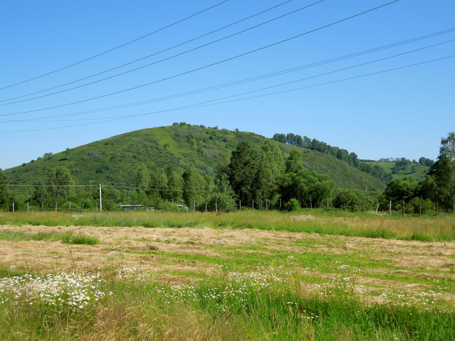 DSCN7912_новый_размер.JPG