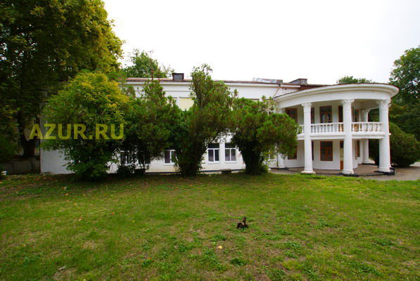 1102_8ecce.jpg