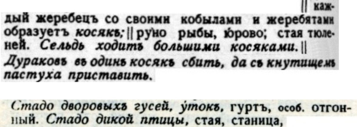 Косяки_и_стадо.jpg