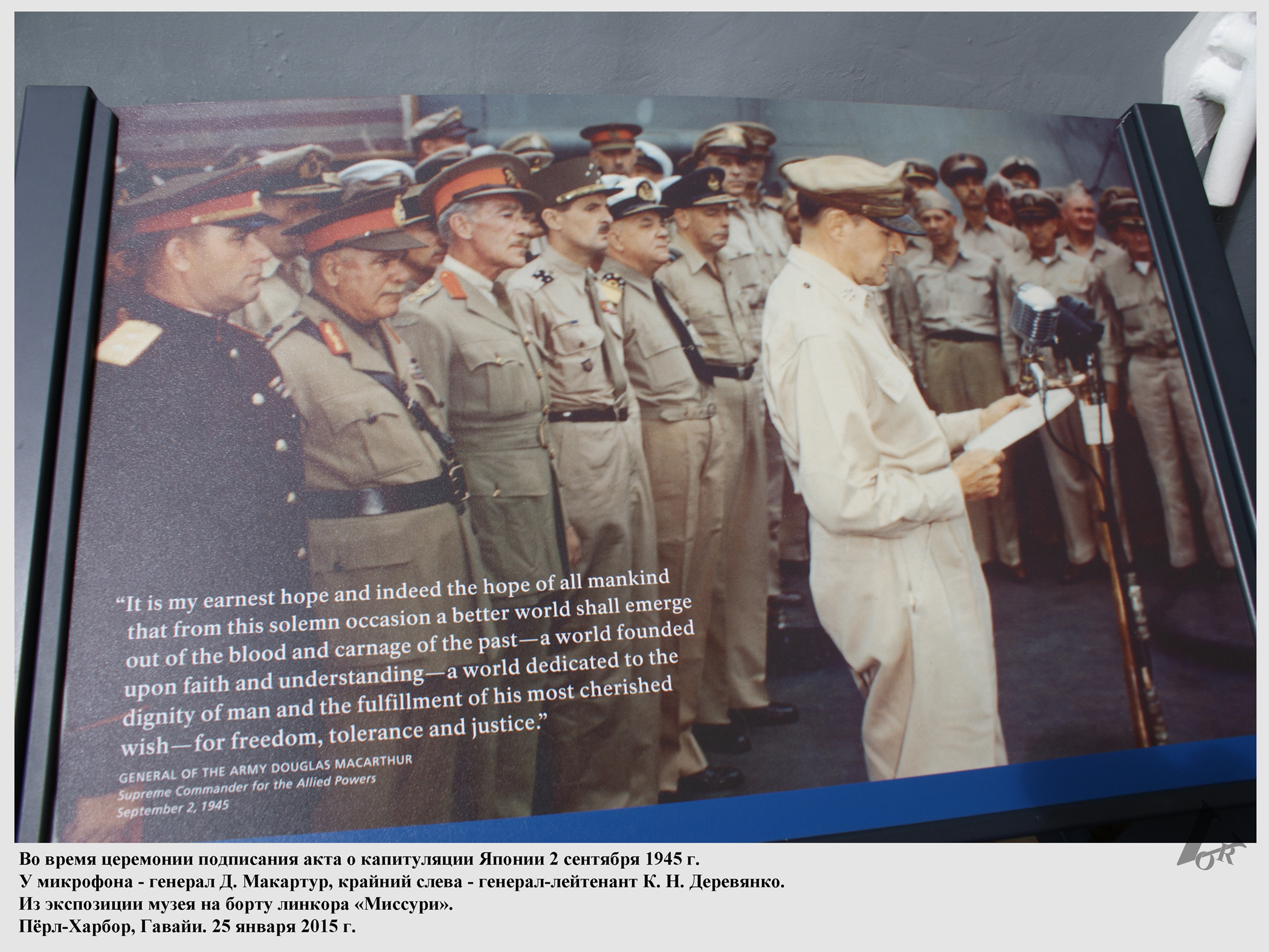 Fig11.jpg