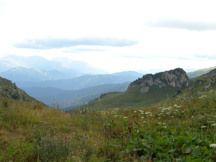 DSCN4495.JPG