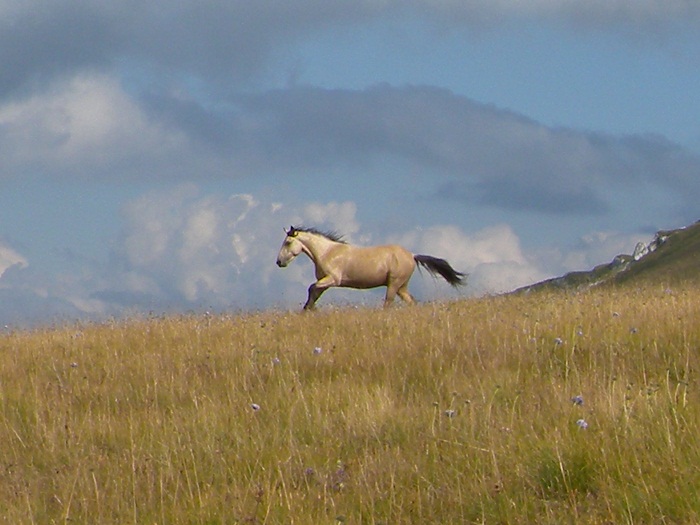 DSCN4520.JPG