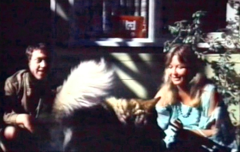 PDVD_003.jpg