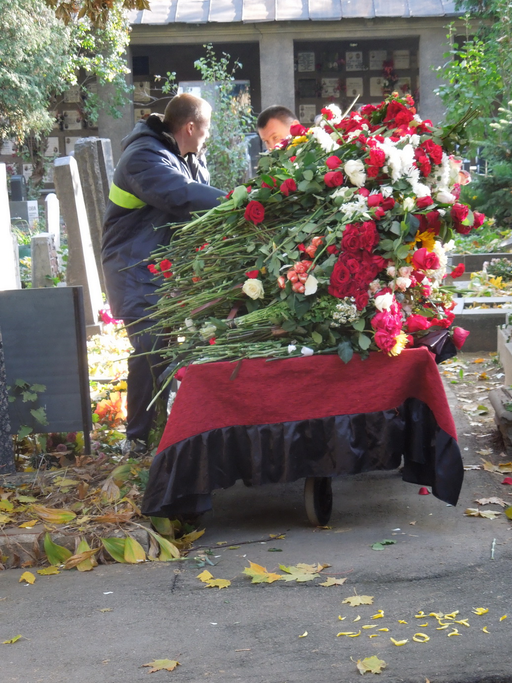 DSCN6815.JPG