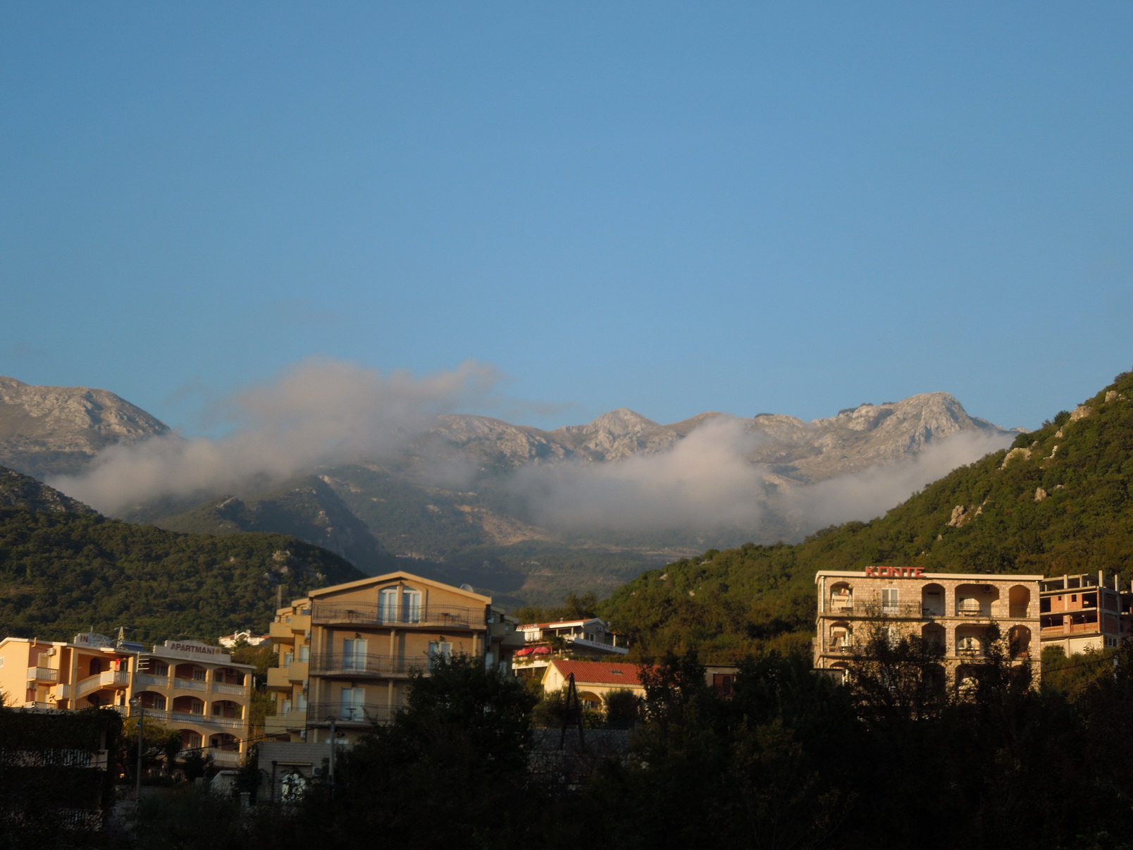 DSCN5851.jpg