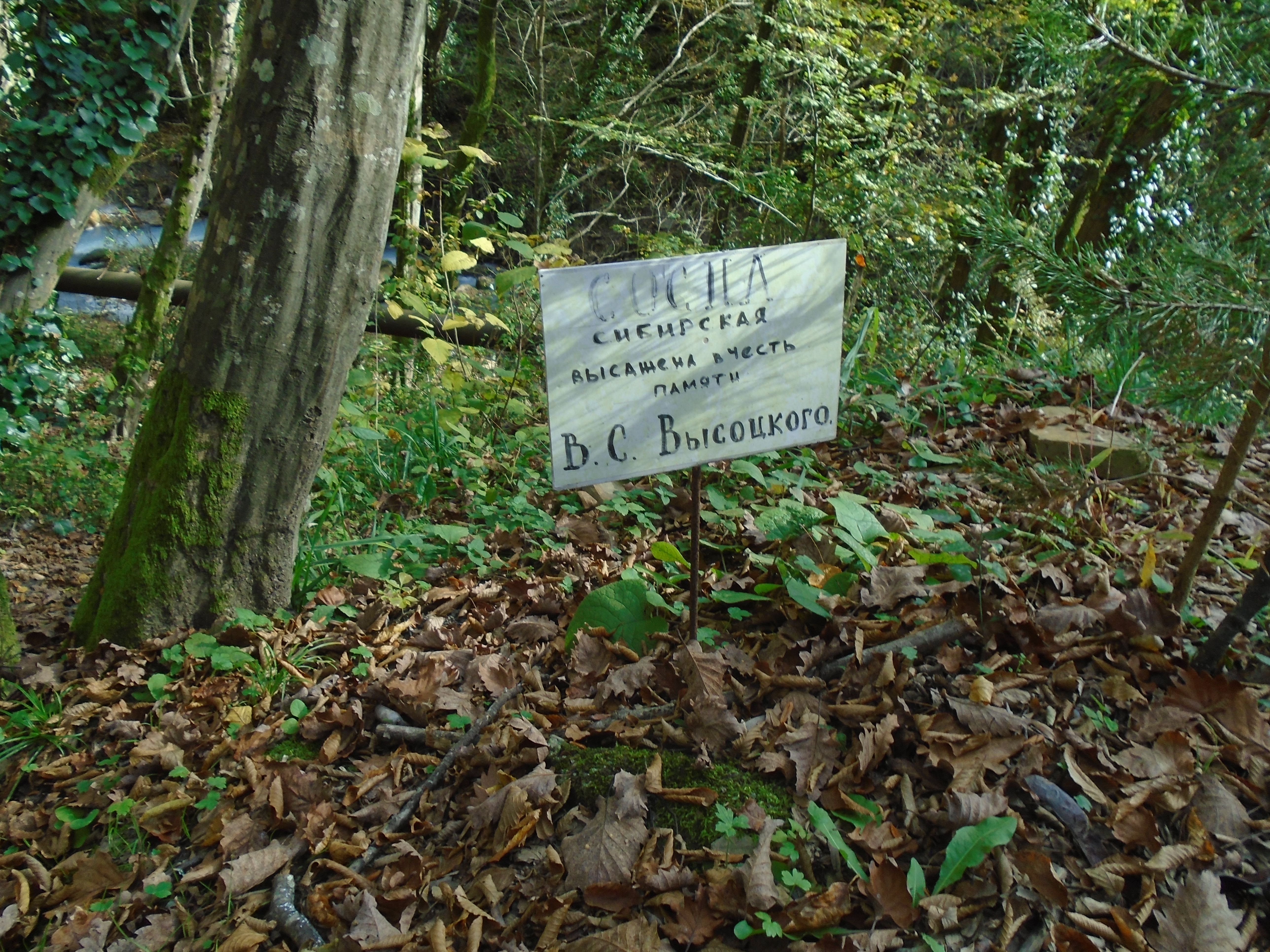 DSC01969.JPG
