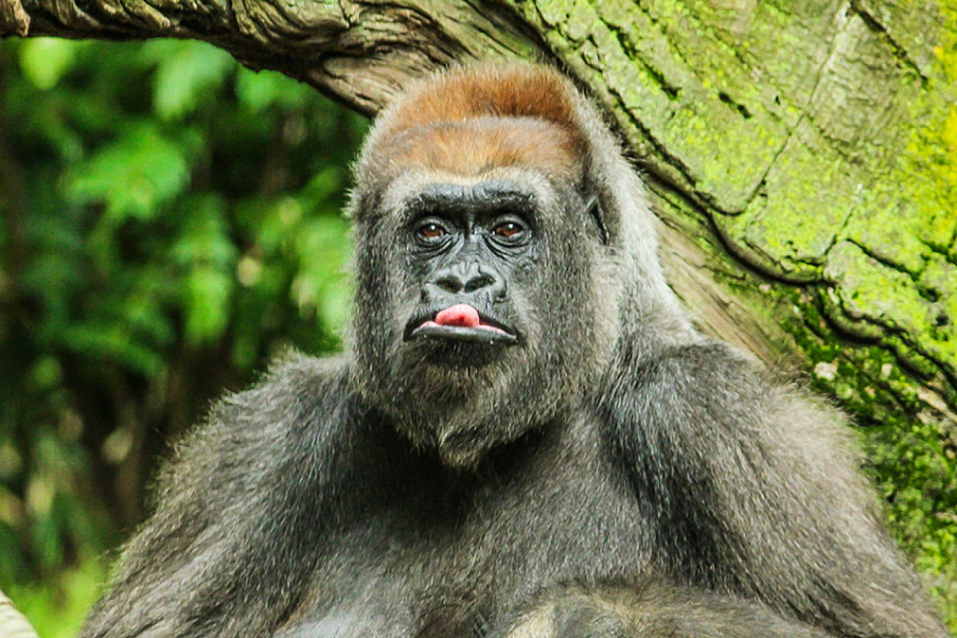 г3.jpg