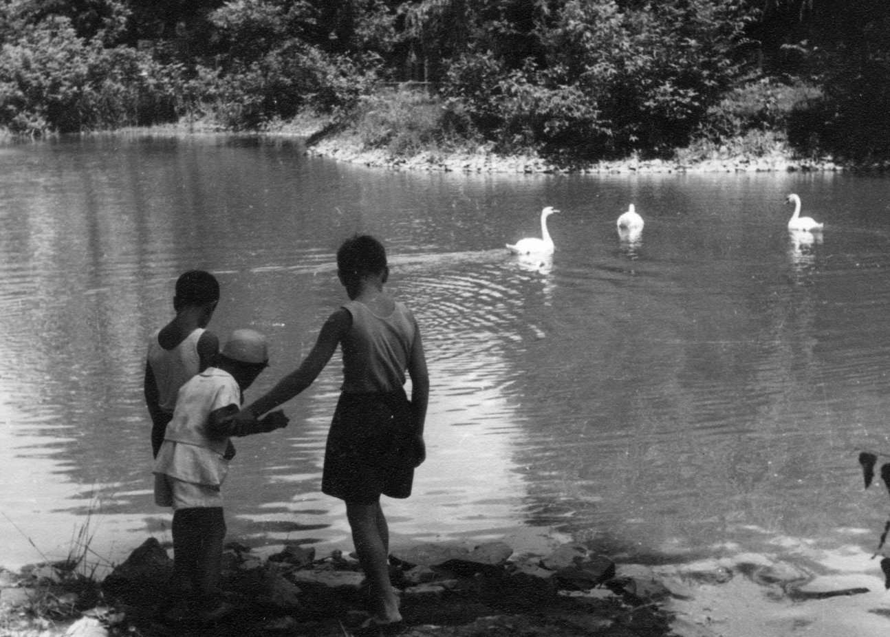 1950_06_Kiev_zoopark_7.jpg