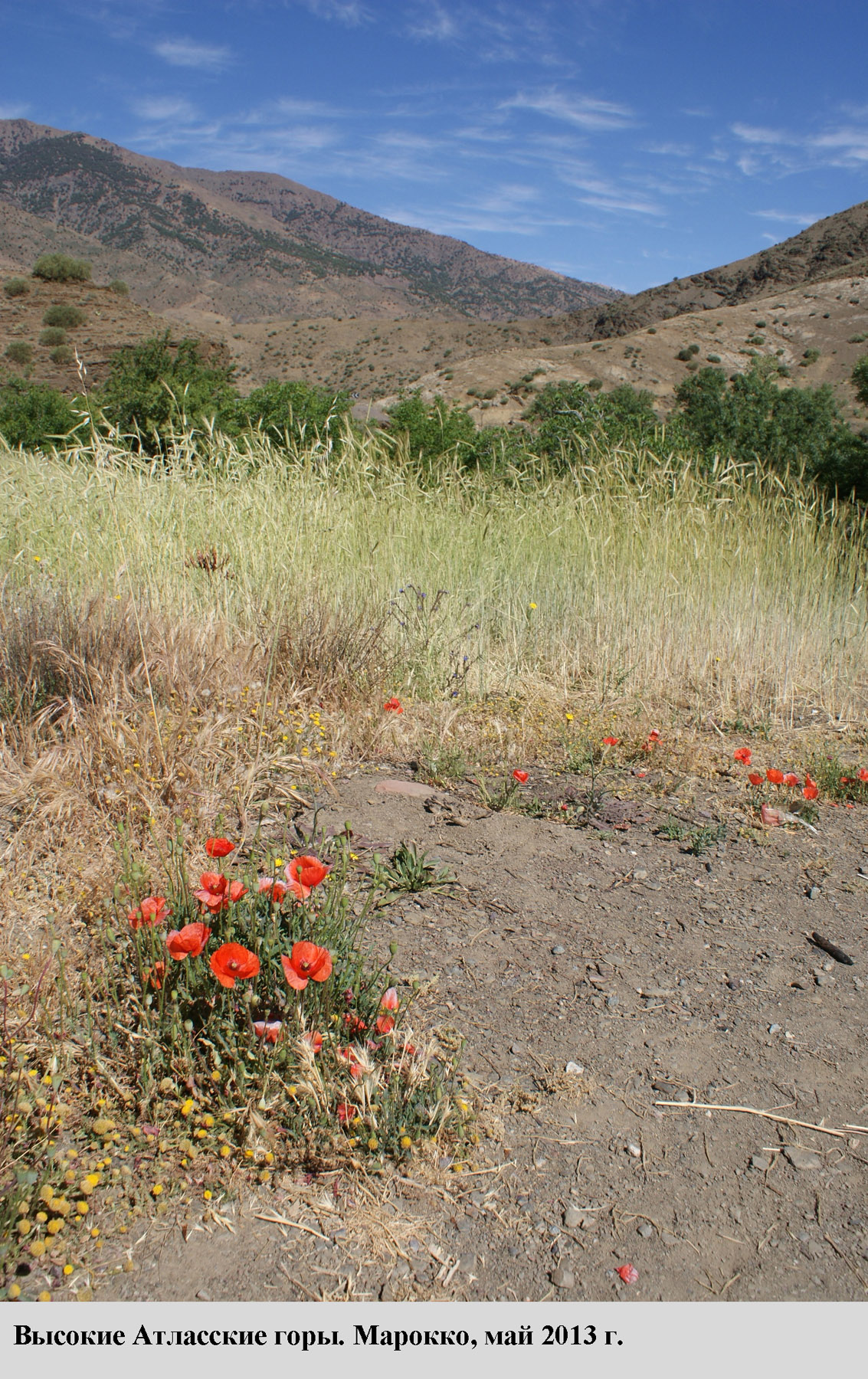 13.JPG